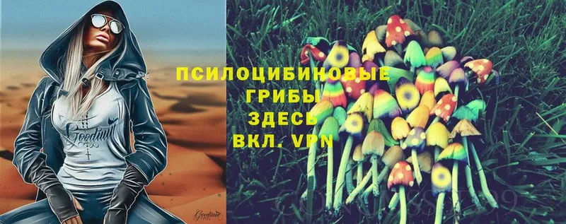 Псилоцибиновые грибы MAGIC MUSHROOMS  Белая Калитва 